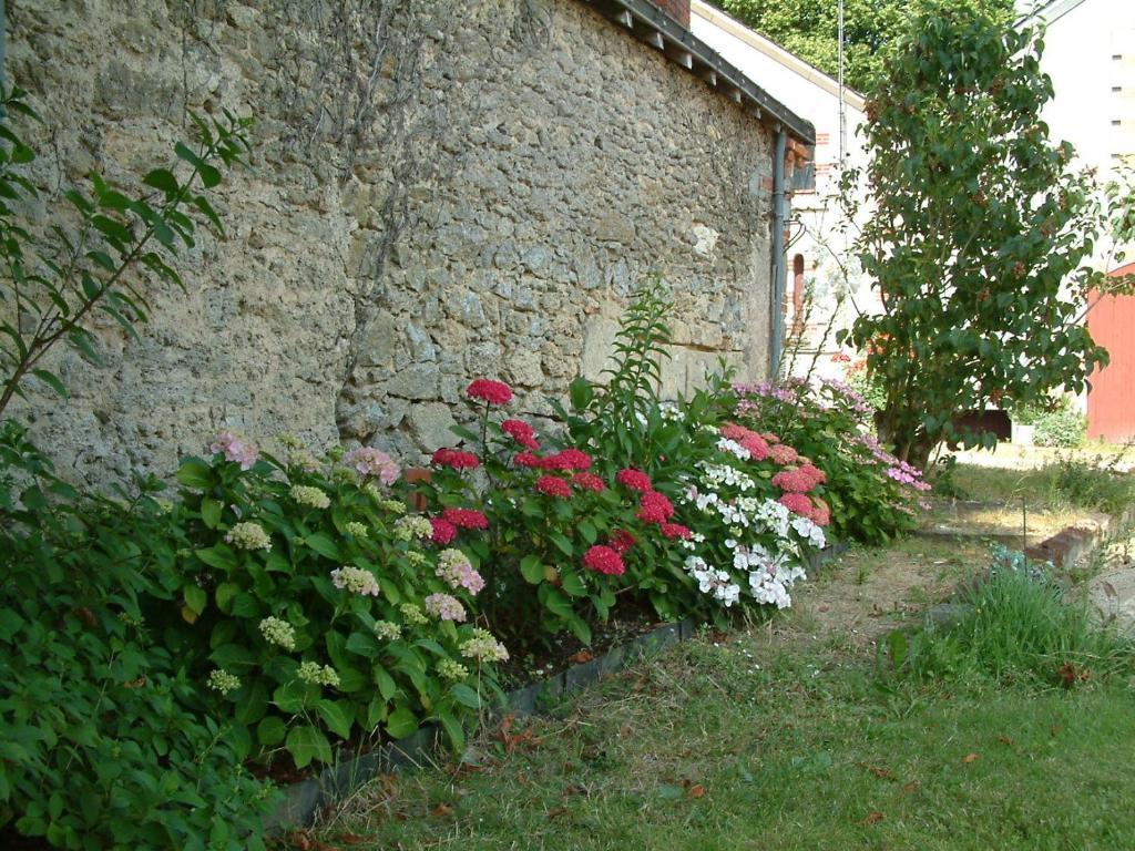 Chateau Du Beugnon Bed and Breakfast Tigné Exterior foto